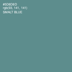 #5D8D8D - Smalt Blue Color Image